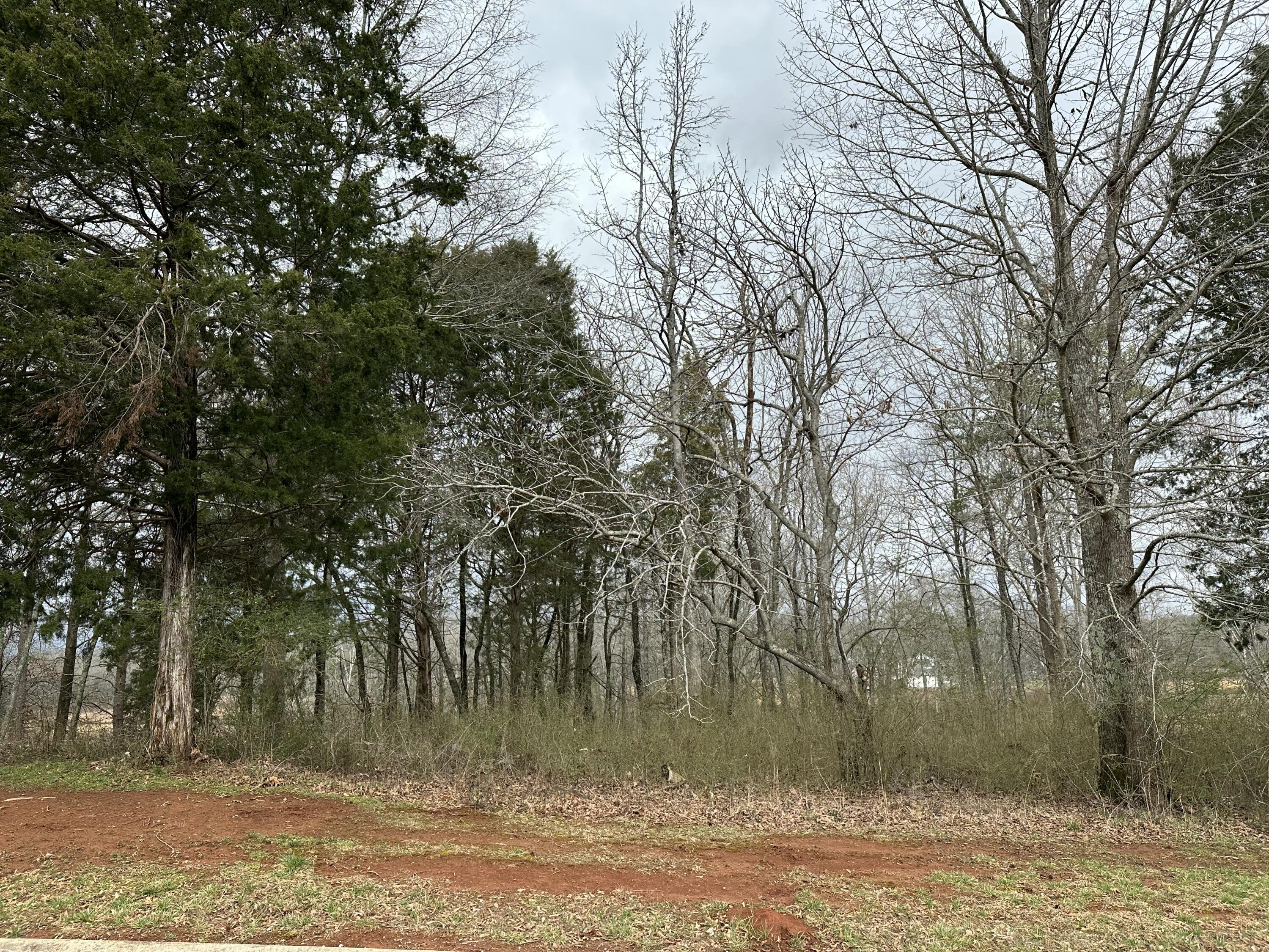 57 Captains Way, Jasper, Tennessee image 7