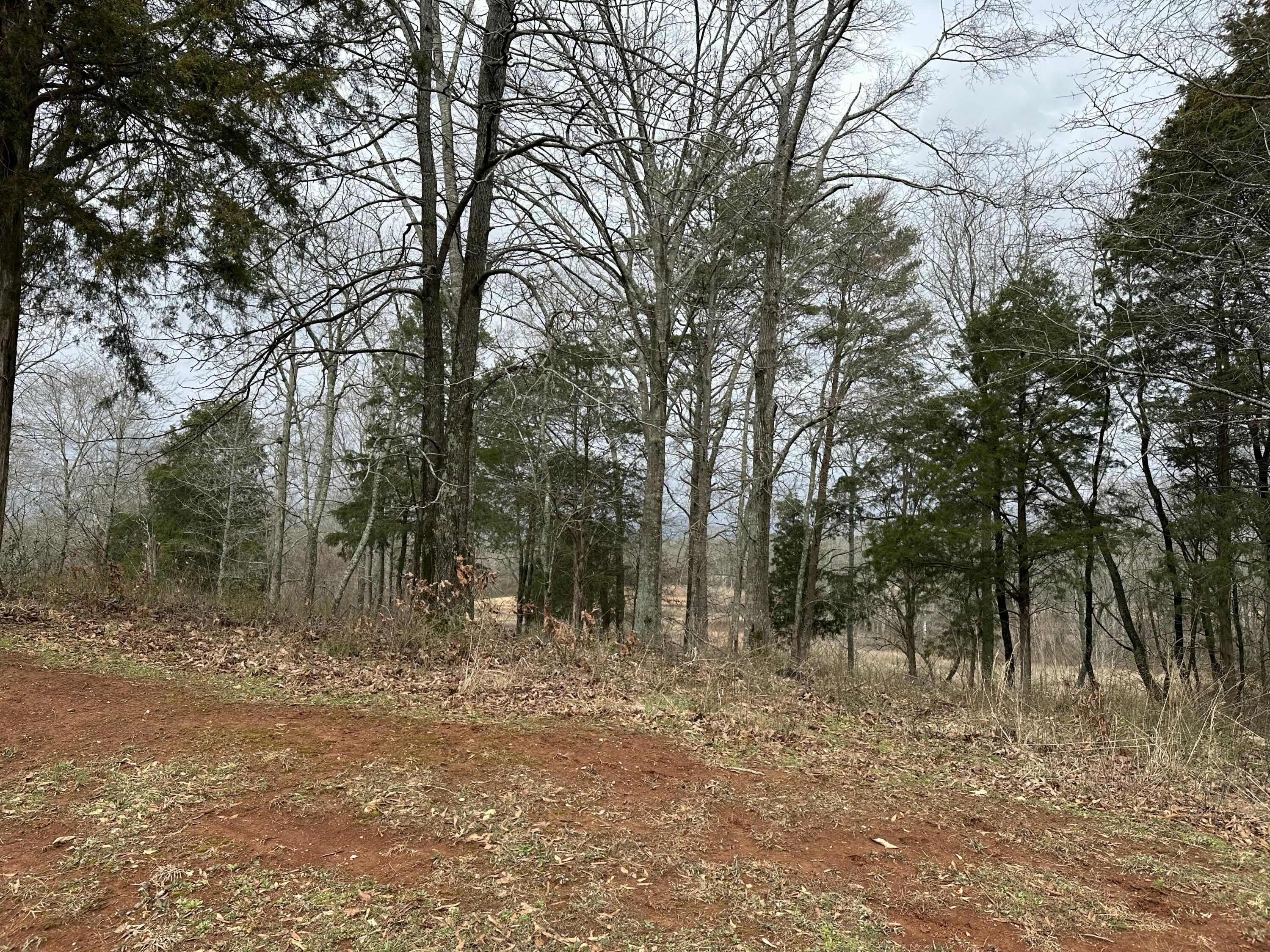 57 Captains Way, Jasper, Tennessee image 12