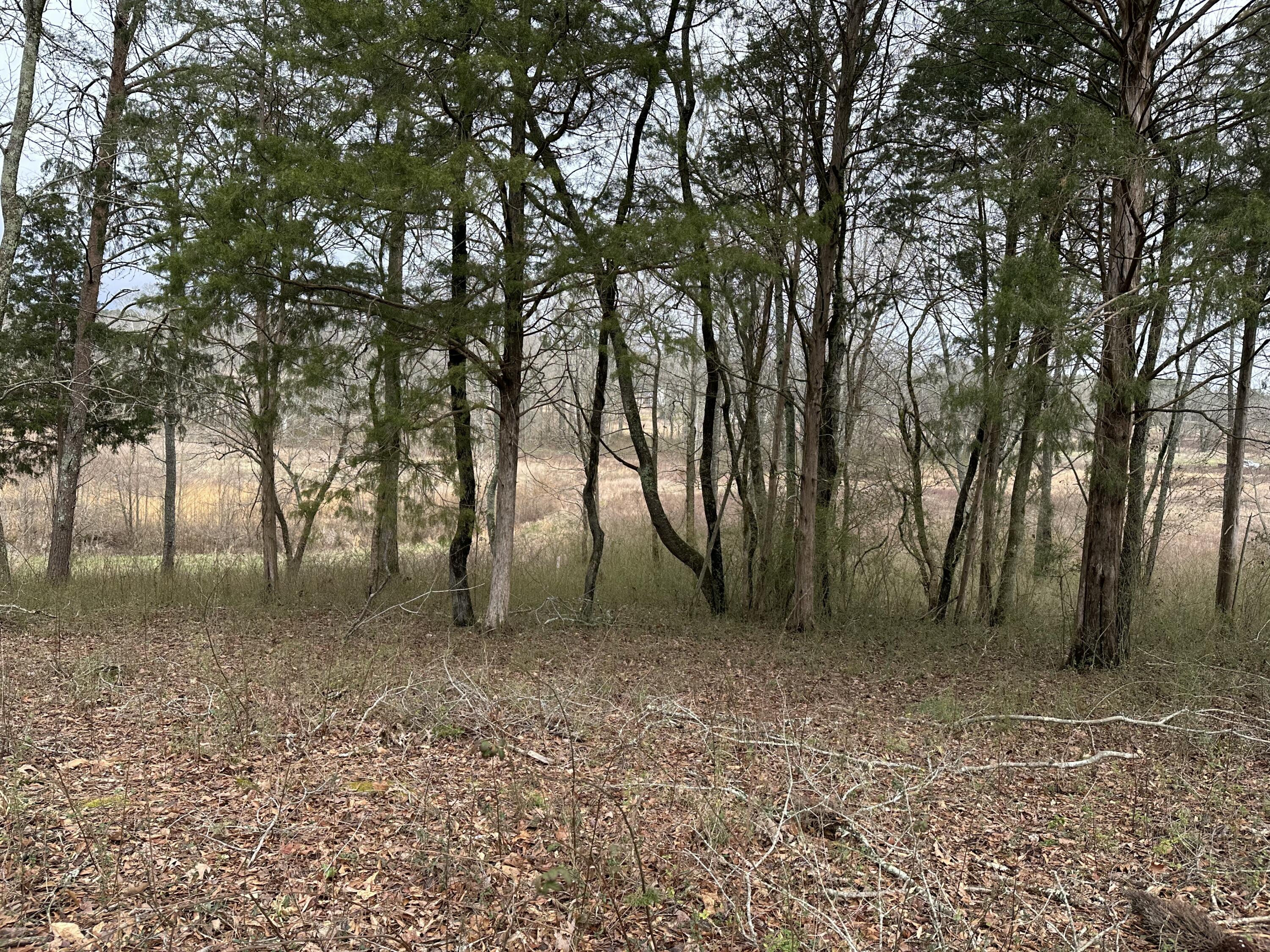 57 Captains Way, Jasper, Tennessee image 1