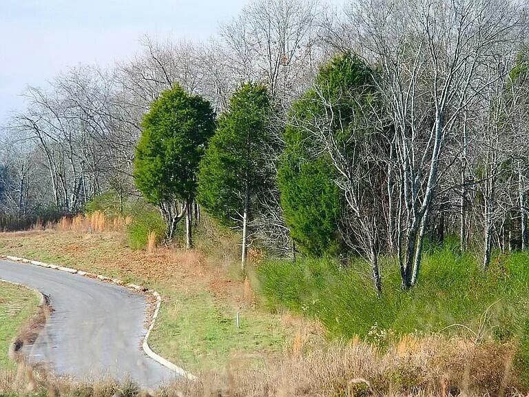 57 Captains Way, Jasper, Tennessee image 8