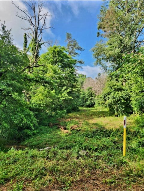 Vacant Land For Sale - N Highway 341<br/> Chickamauga, GA 30707