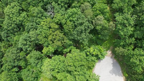 Tiny photo for Lot 25 Escape Drive, Evensville, TN 37332 (MLS # 1530306)