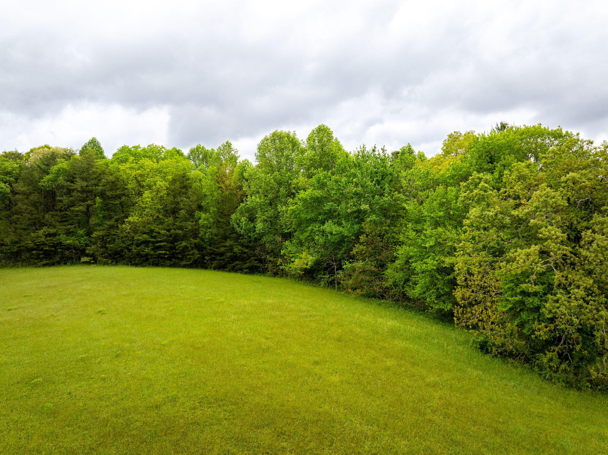 Blaine Smith Road #TRACT 8, Graysville, Tennessee image 5