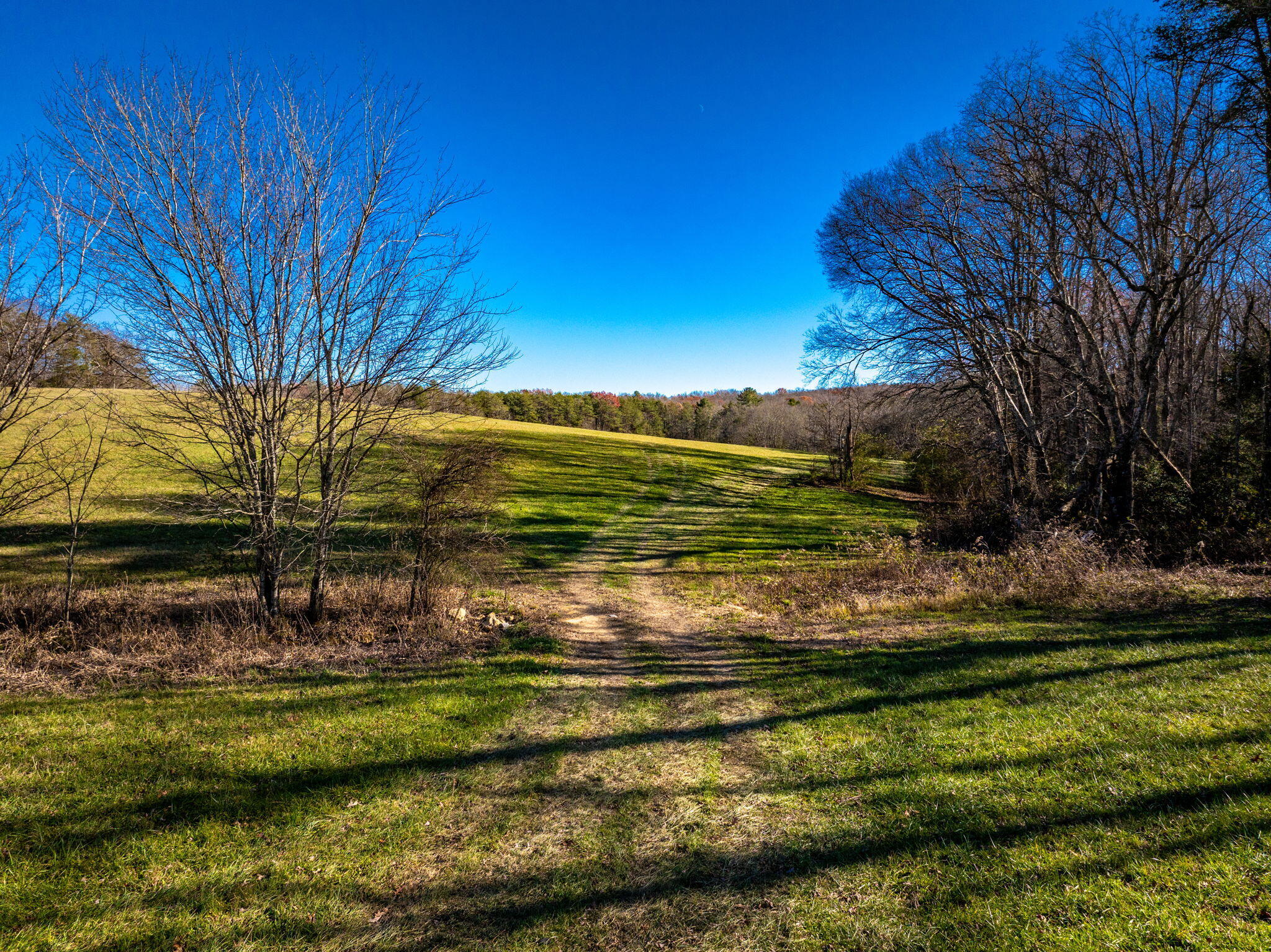 Blaine Smith Road #TRACT 8, Graysville, Tennessee image 8