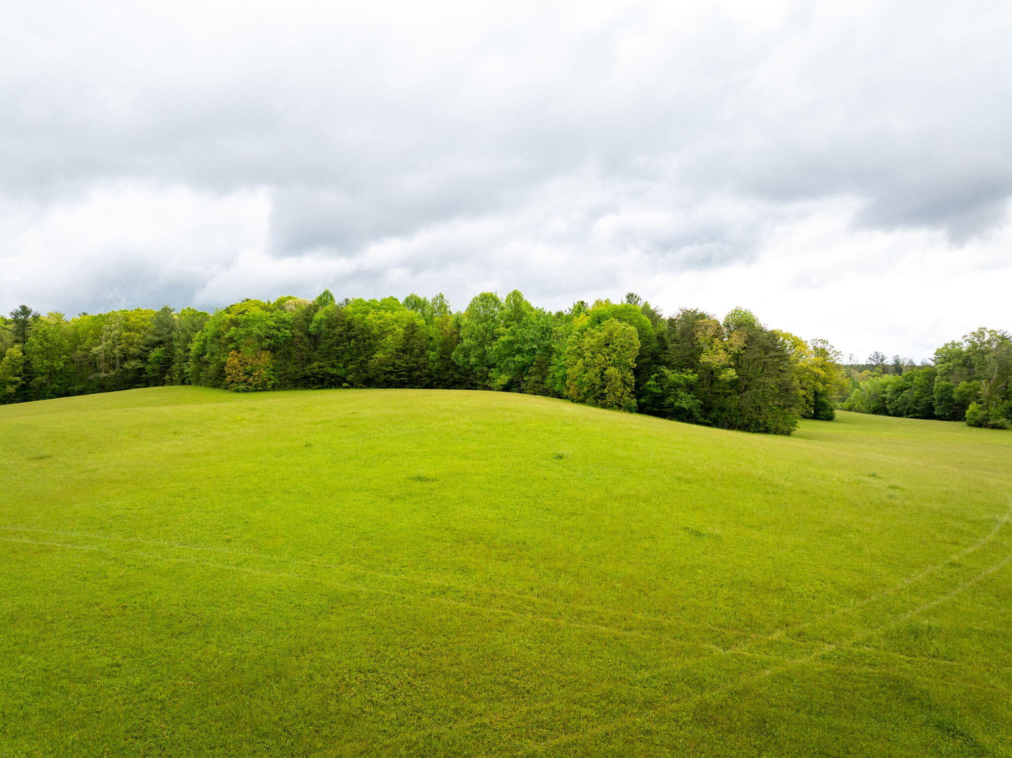 Blaine Smith Road #TRACT 8, Graysville, Tennessee image 4