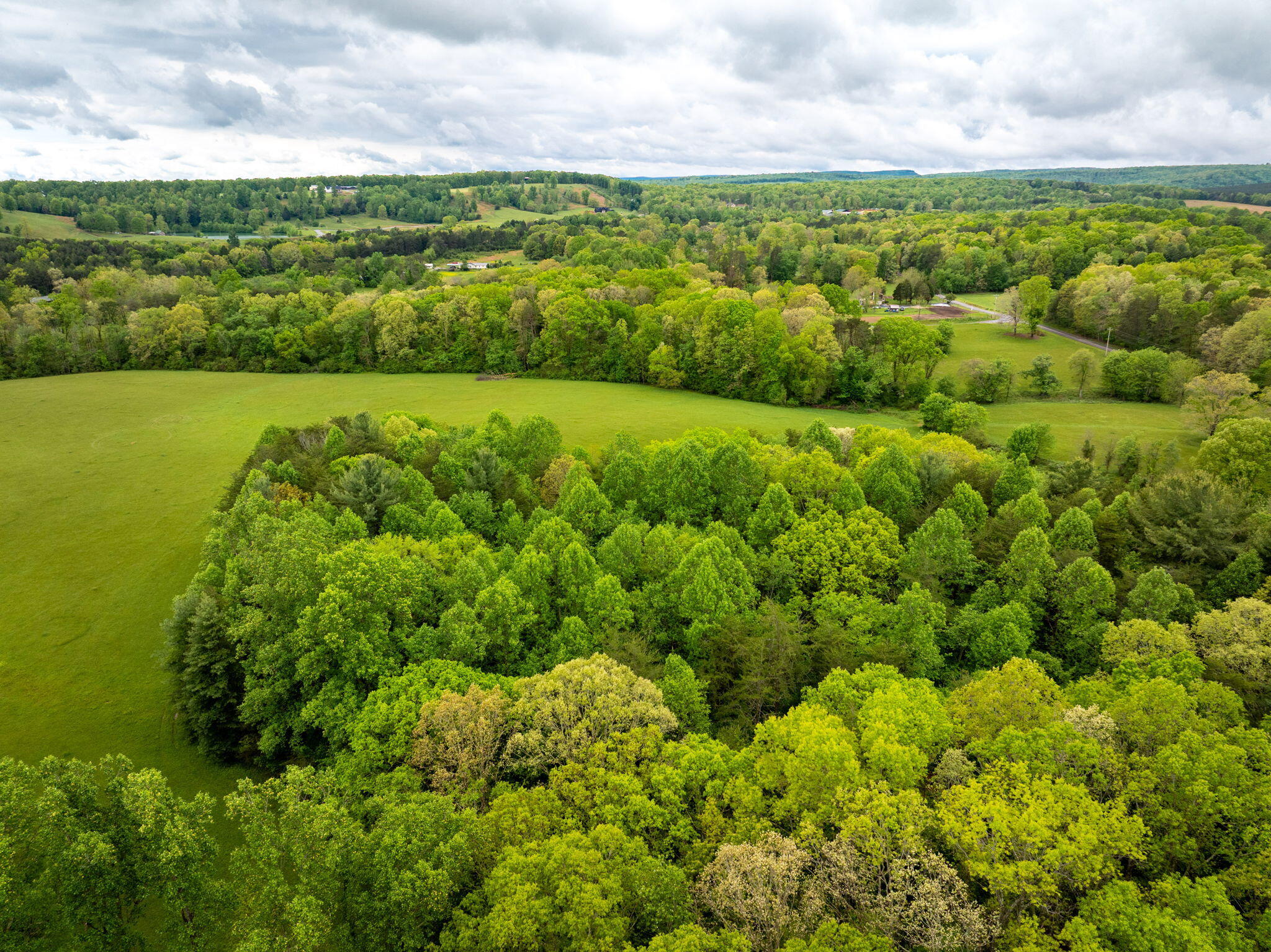 Blaine Smith Road #TRACT 8, Graysville, Tennessee image 7