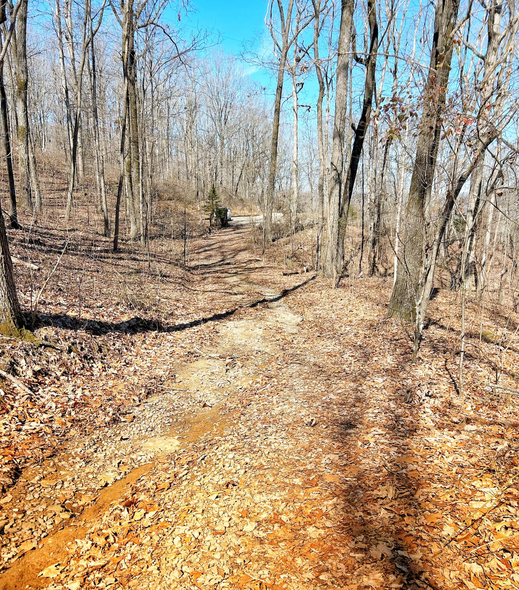 Browbend Drive #19, Guild, Tennessee image 4