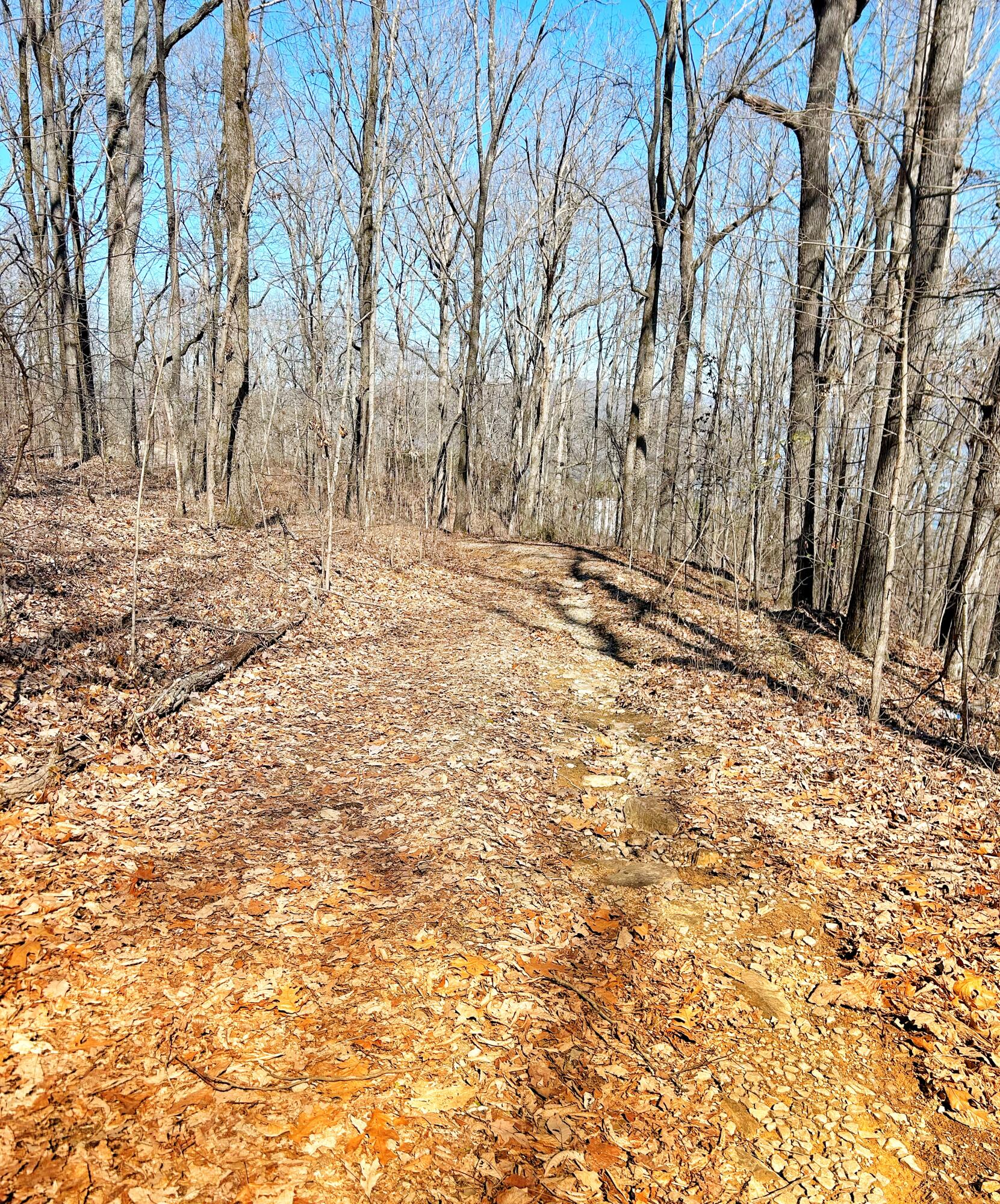 Browbend Drive #19, Guild, Tennessee image 3