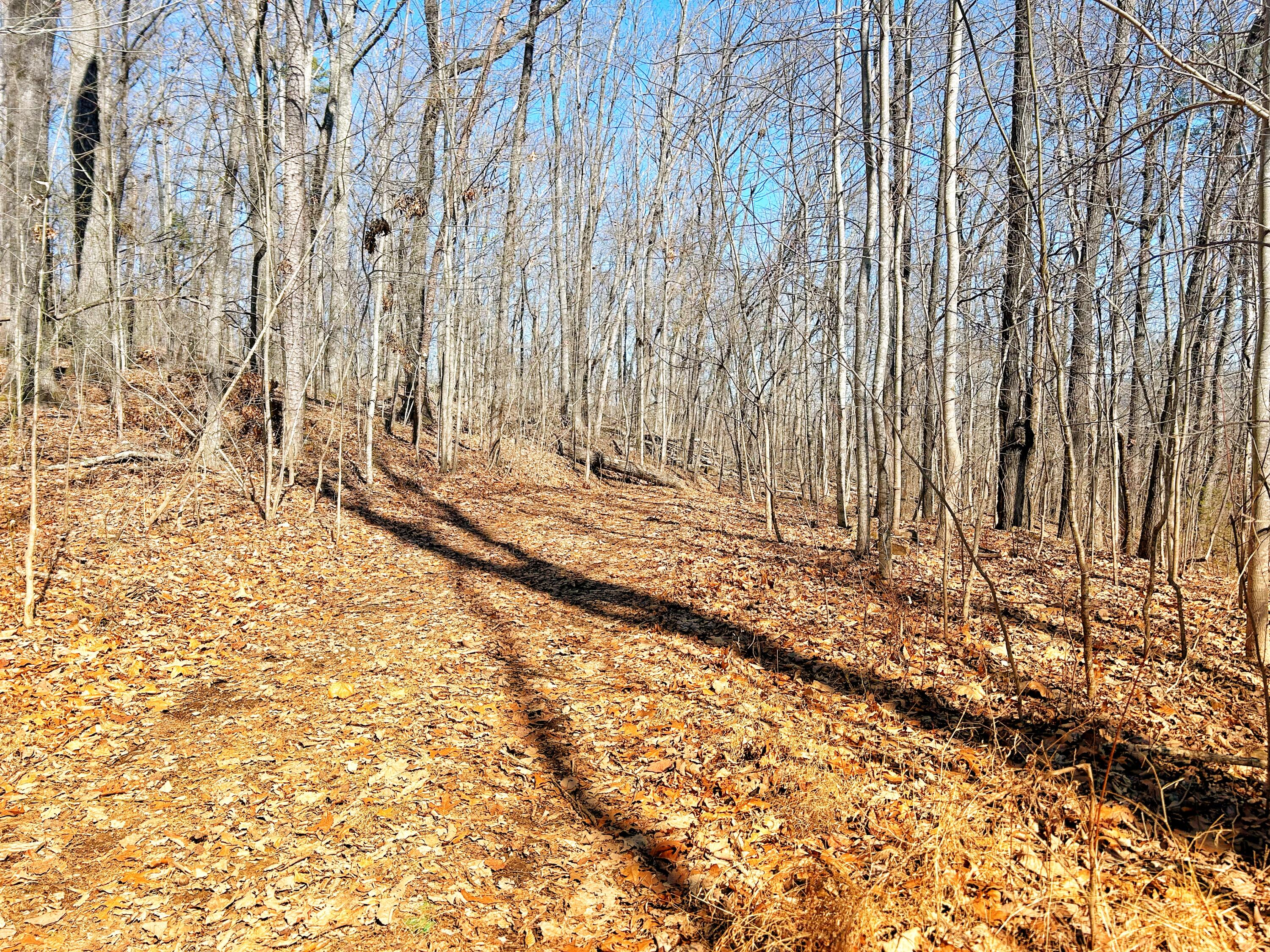 Browbend Drive #19, Guild, Tennessee image 1
