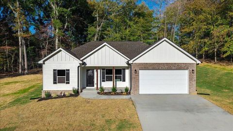 Photo of 129 County Road 155, Riceville, TN 37370 (MLS # 1525753)