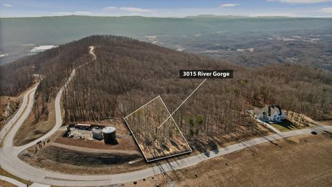 3015 River Gorge Drive Homesite 974 Chattanooga TN 37419