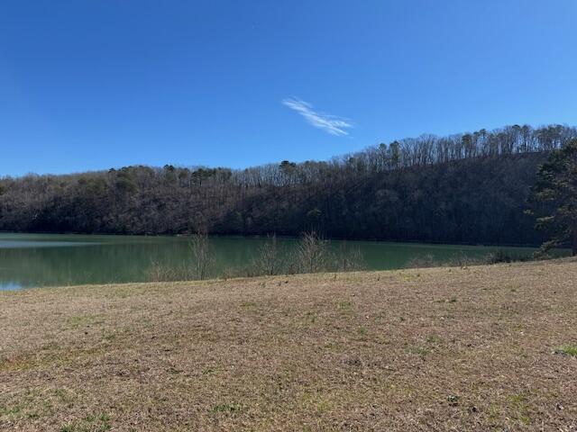 635 River Landing Drive, Soddy Daisy, Tennessee image 16