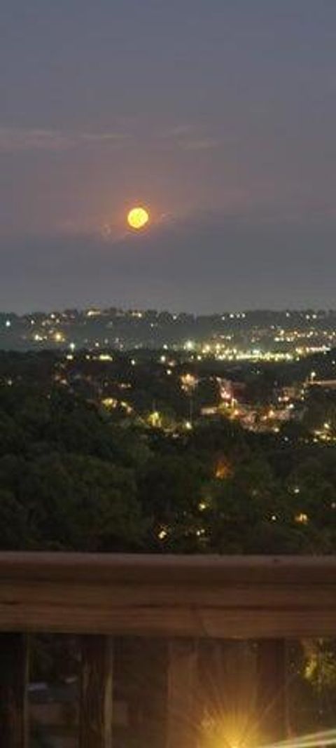 Tiny photo for 1131 Stringers Ridge Road, Chattanooga, TN 37405 (MLS # 1526076)