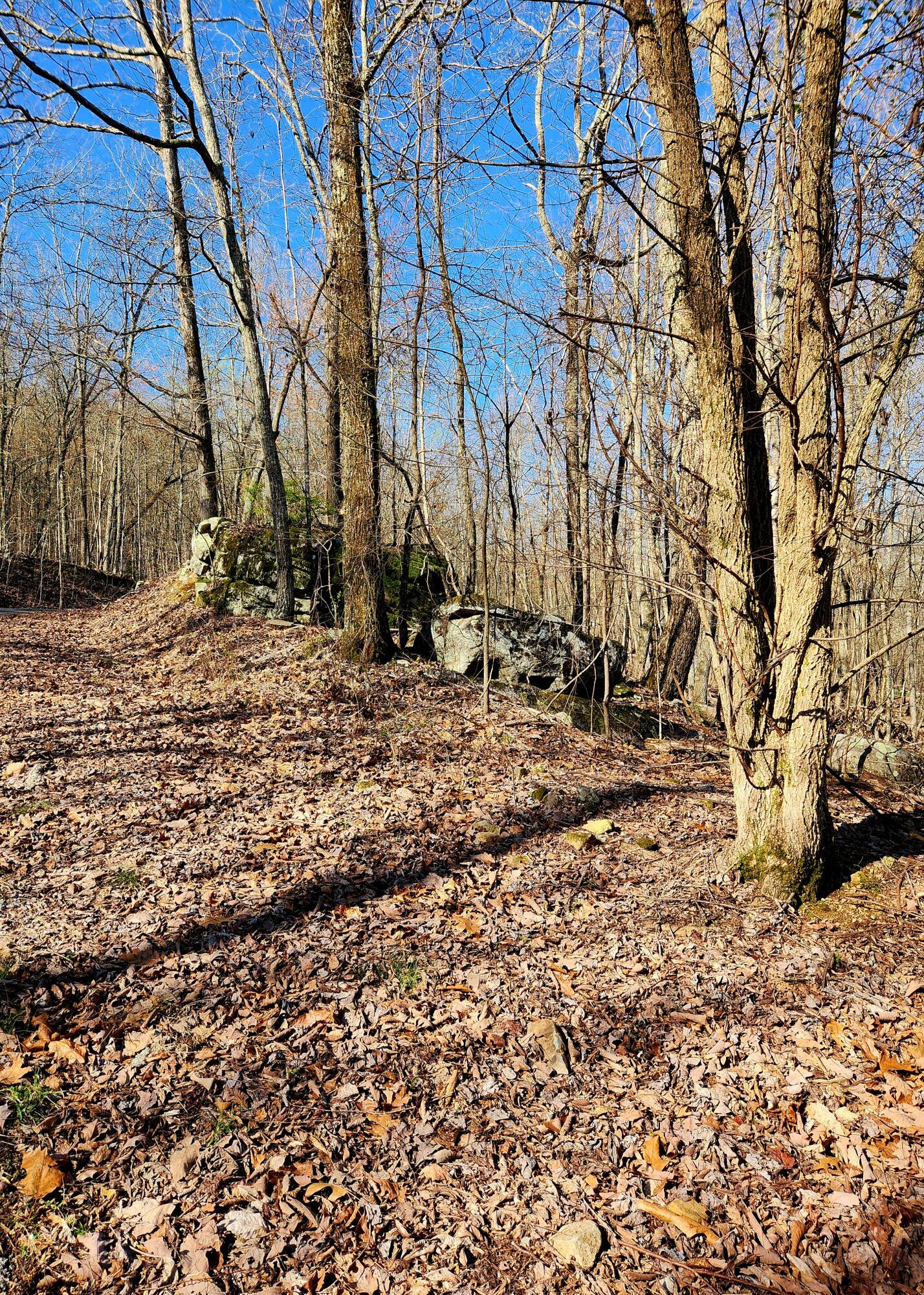 Scenic Drive #6, South Pittsburg, Tennessee image 8