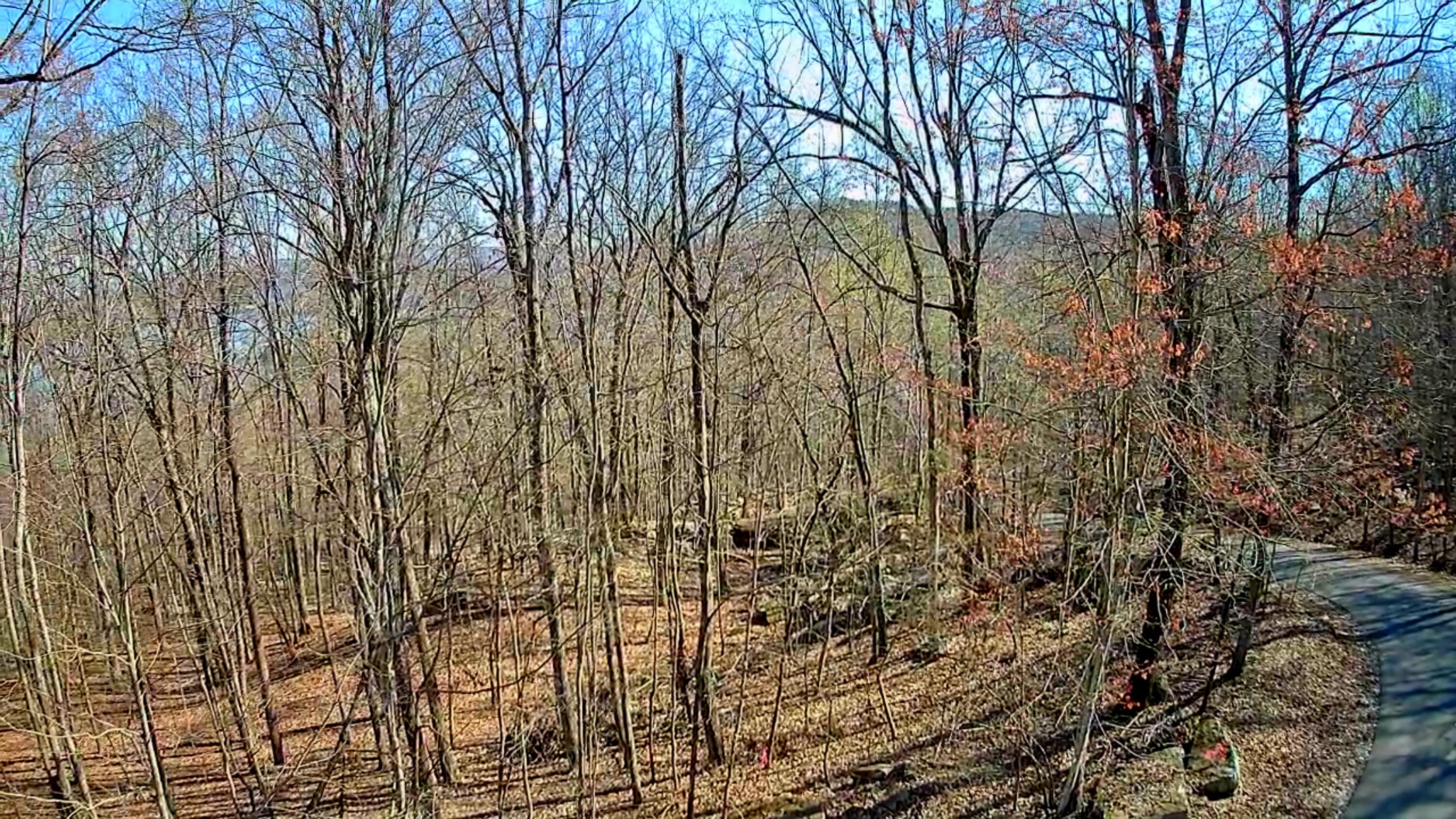 Scenic Drive #6, South Pittsburg, Tennessee image 24
