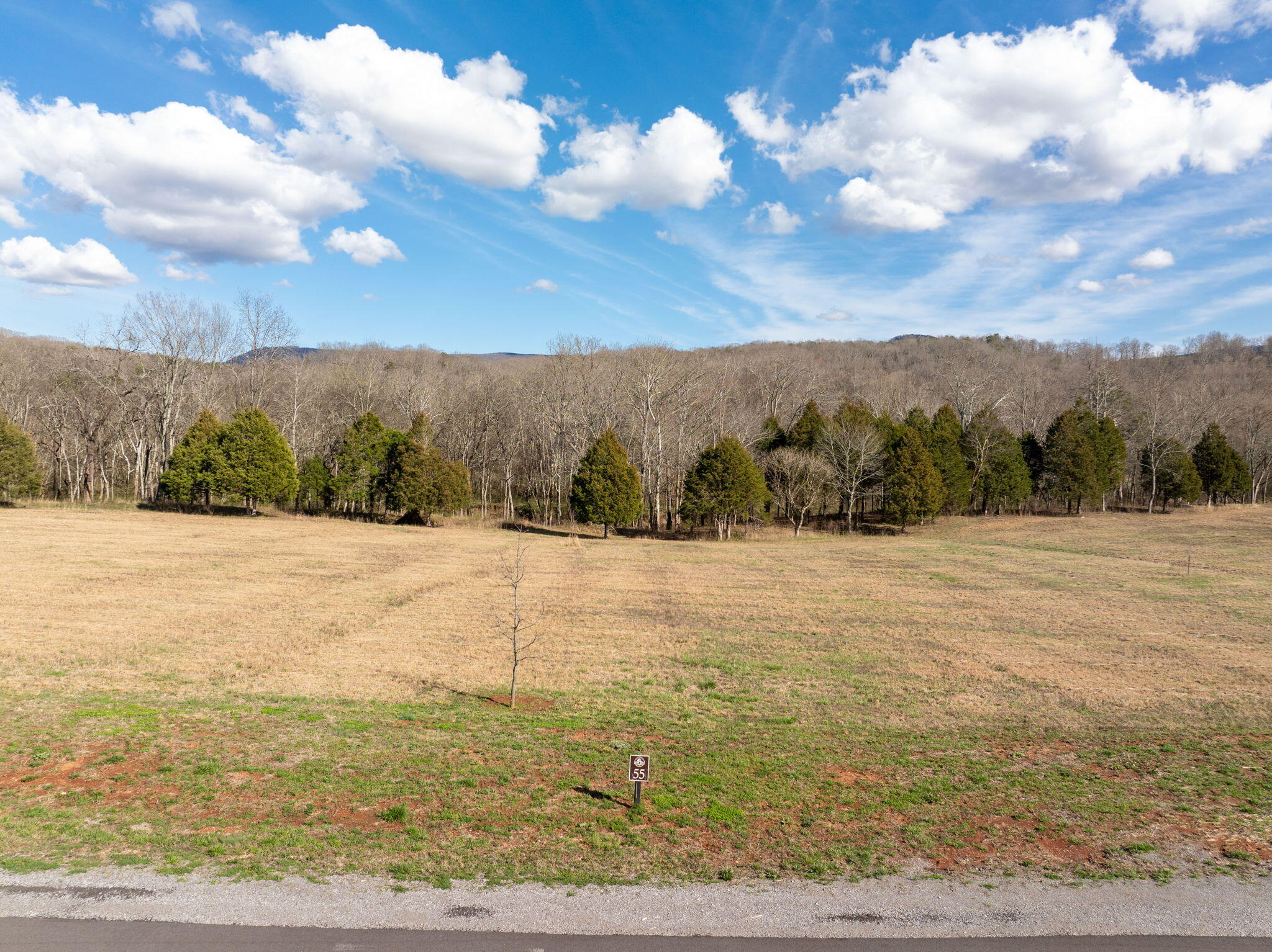 55 River Ridge Drive #55, Dunlap, Tennessee image 6