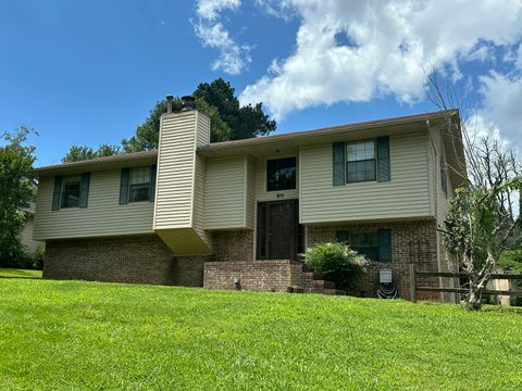Photo of 811 Armstrong Ferry Road, Dayton, TN 37321 (MLS # 1510772)