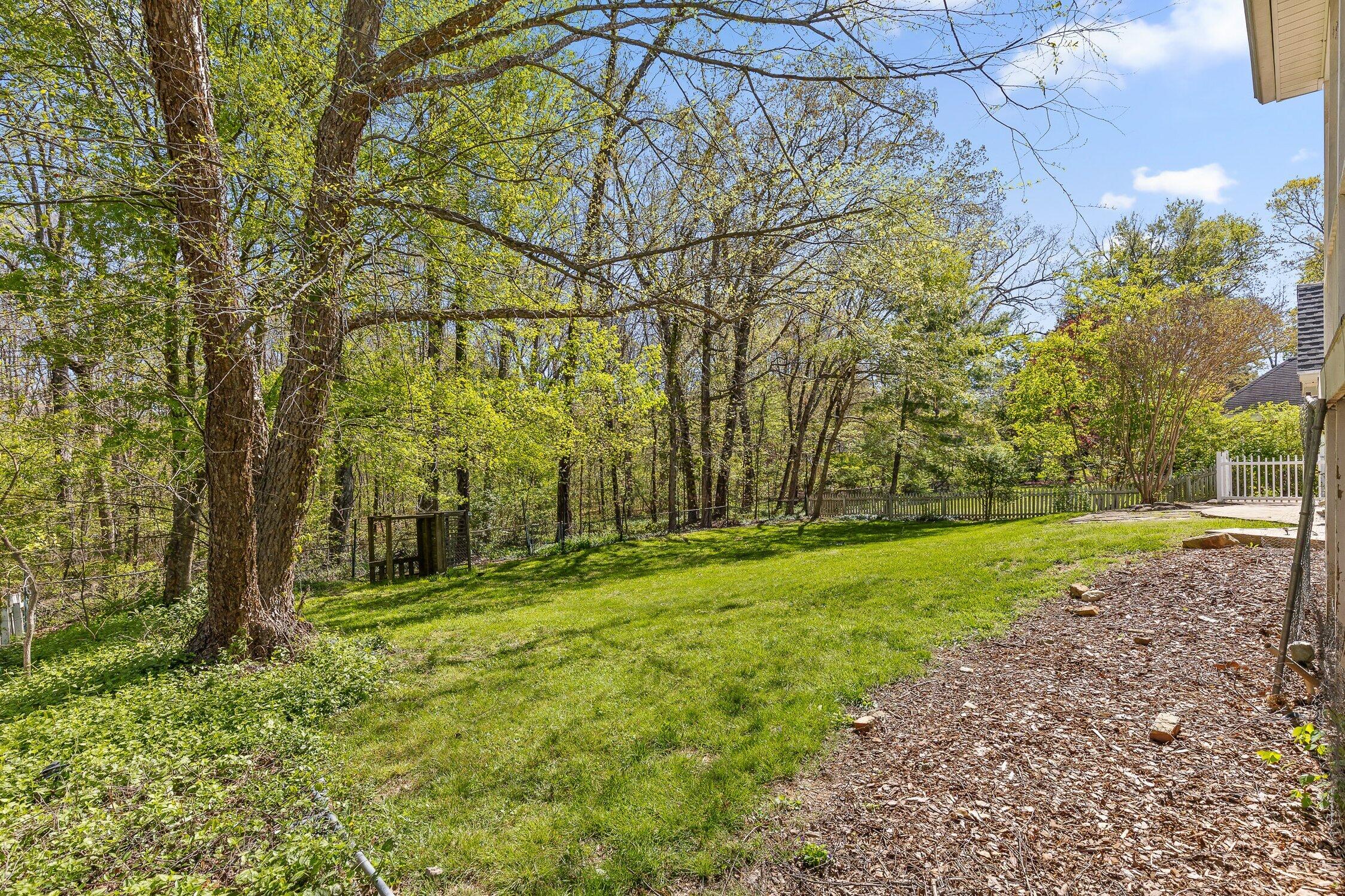 323 Bluff View Avenue, Signal Mountain, Tennessee image 44