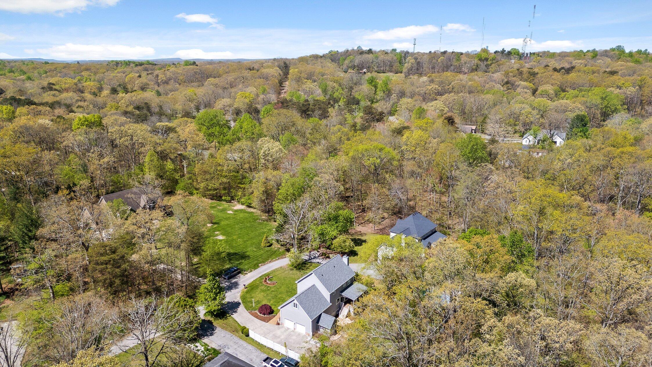323 Bluff View Avenue, Signal Mountain, Tennessee image 45