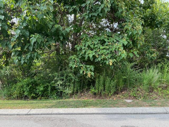 2118+2112 Short Leaf Lane