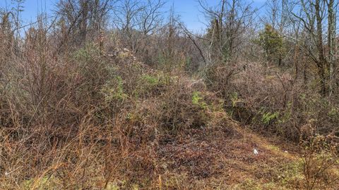 Tiny photo for 7521 Shallowford Road, Chattanooga, TN 37421 (MLS # 1528425)