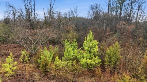 Tiny photo for 7521 Shallowford Road, Chattanooga, TN 37421 (MLS # 1528425)