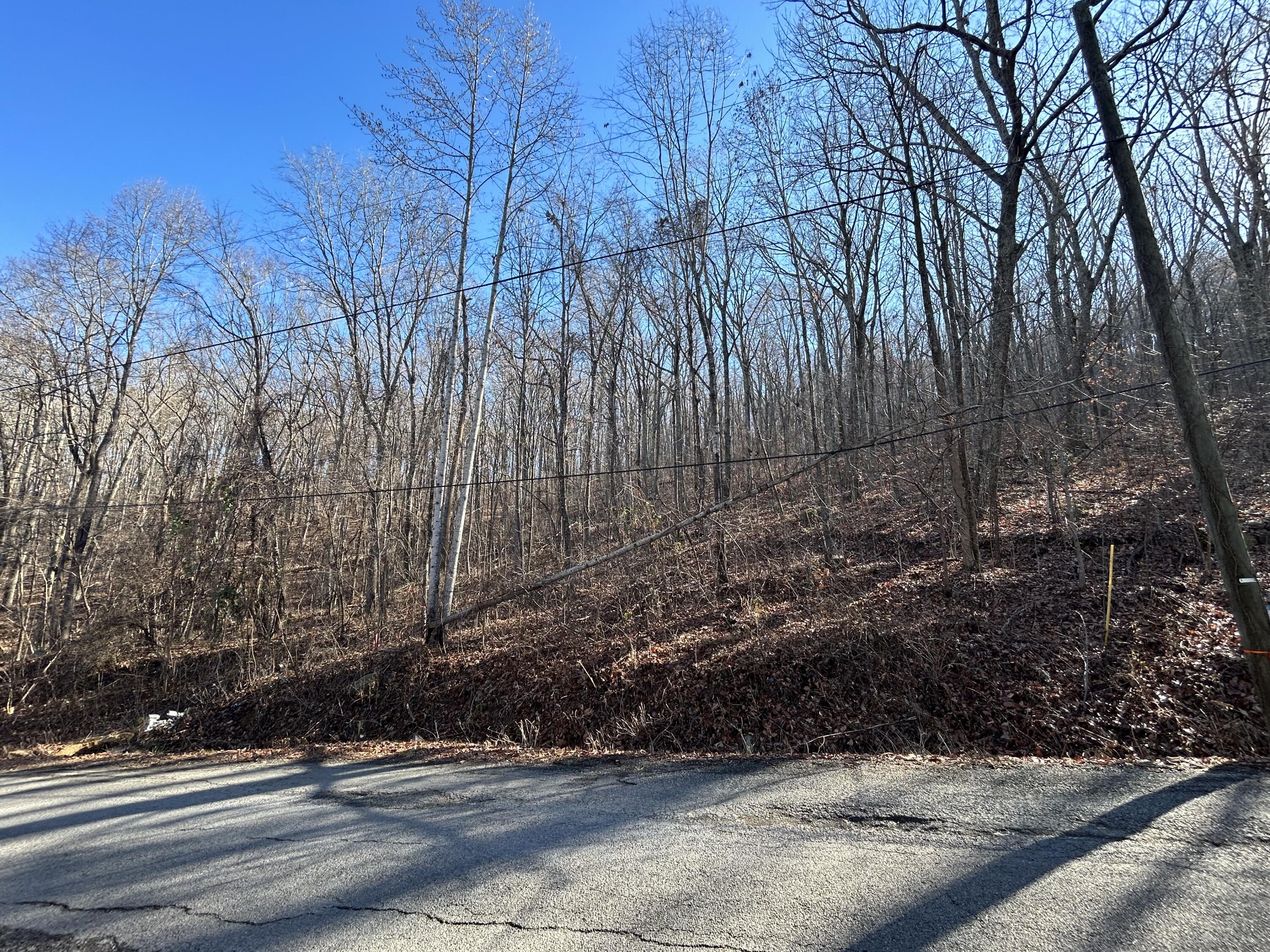 Sussex Road, Dayton, Tennessee image 8