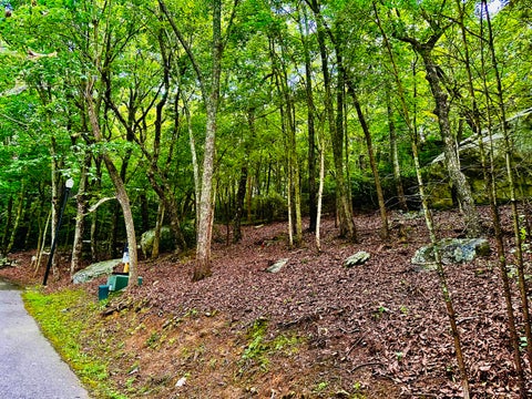 Photo of 0 Eagle Creek Trail, Rising Fawn, GA 30738 (MLS # 1540994)