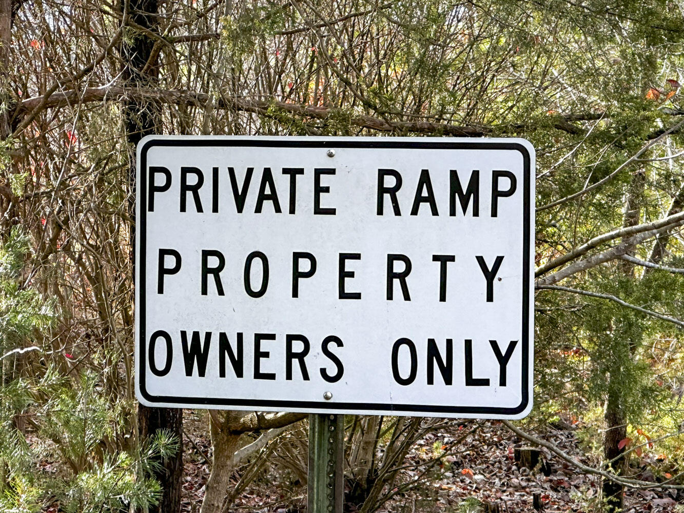 982 Smokey Mountain Queen Road, Sevierville, Tennessee image 11