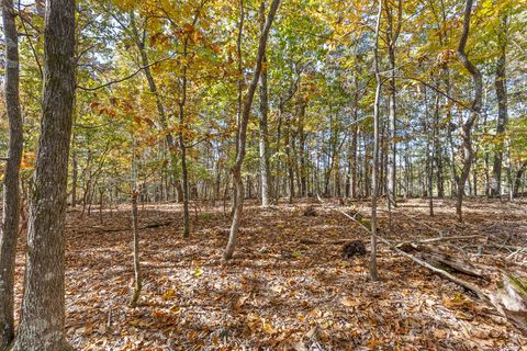 Tiny photo for 2112 River Bluff Drive, Hixson, TN 37343 (MLS # 1523618)