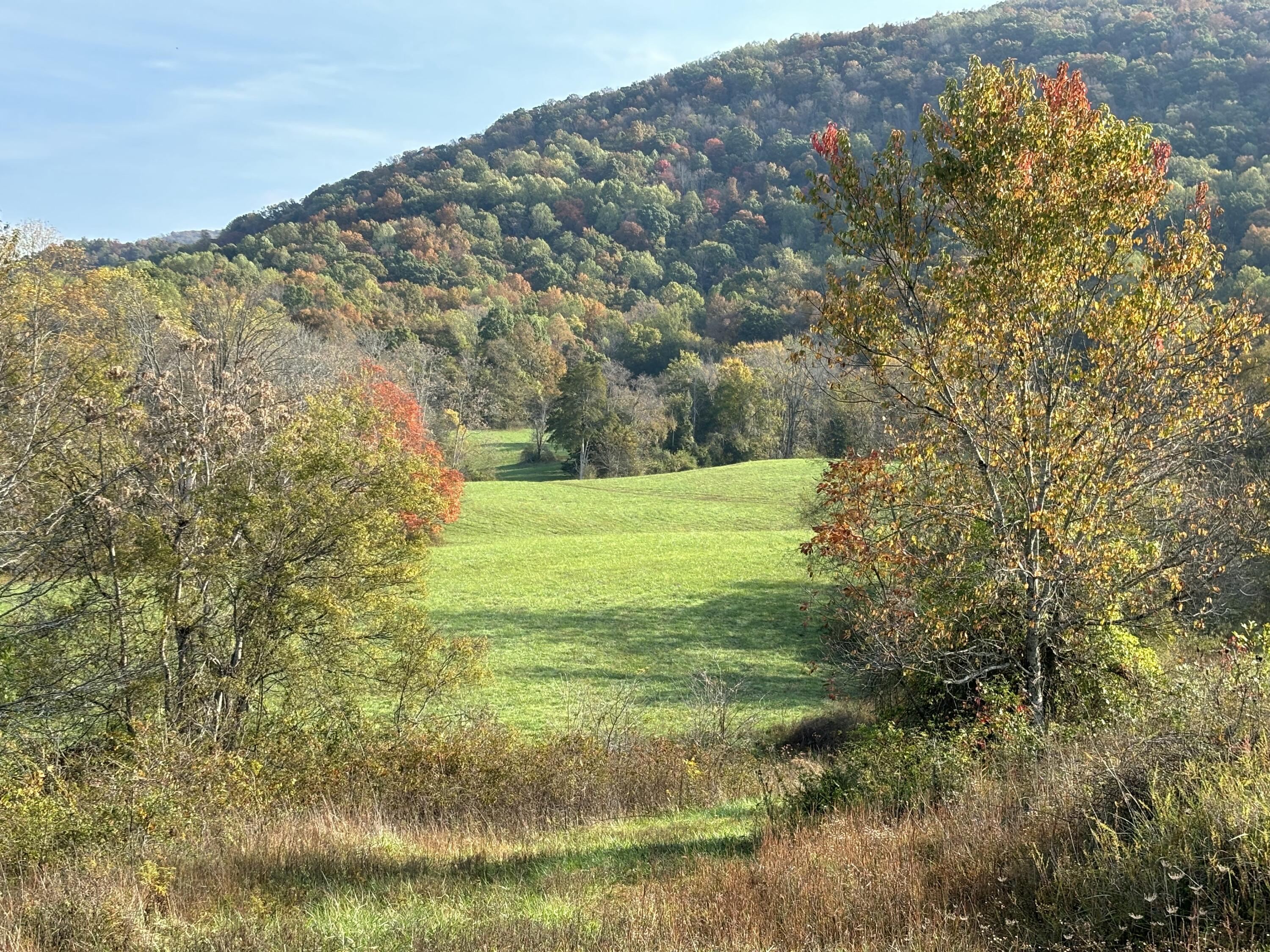 7778 Upper East Valley Road, Pikeville, Tennessee image 37