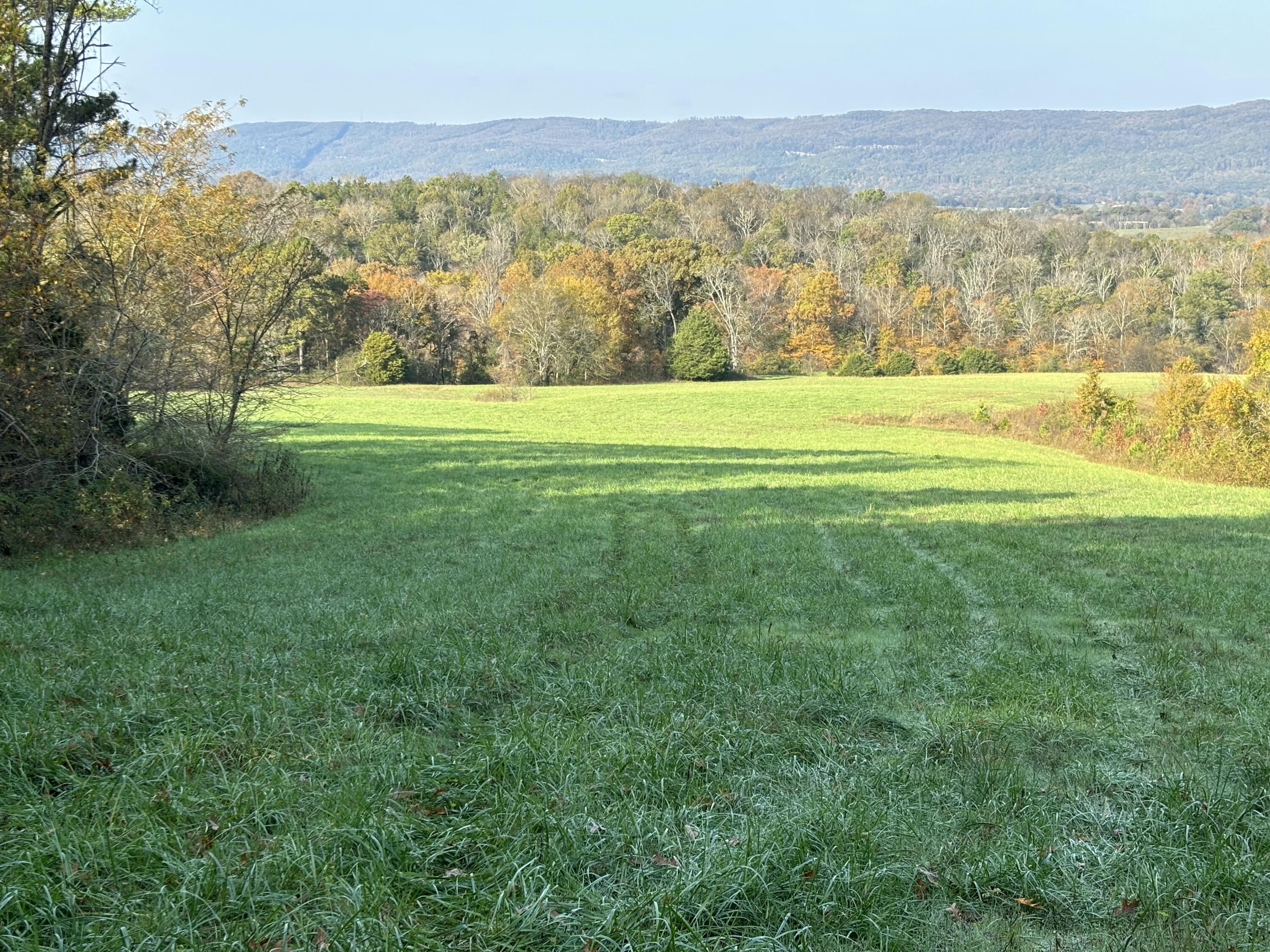 7778 Upper East Valley Road, Pikeville, Tennessee image 35