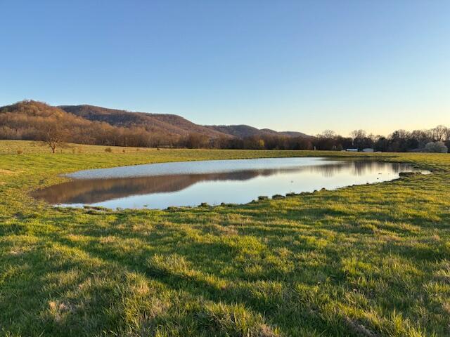 7778 Upper East Valley Road, Pikeville, Tennessee image 7
