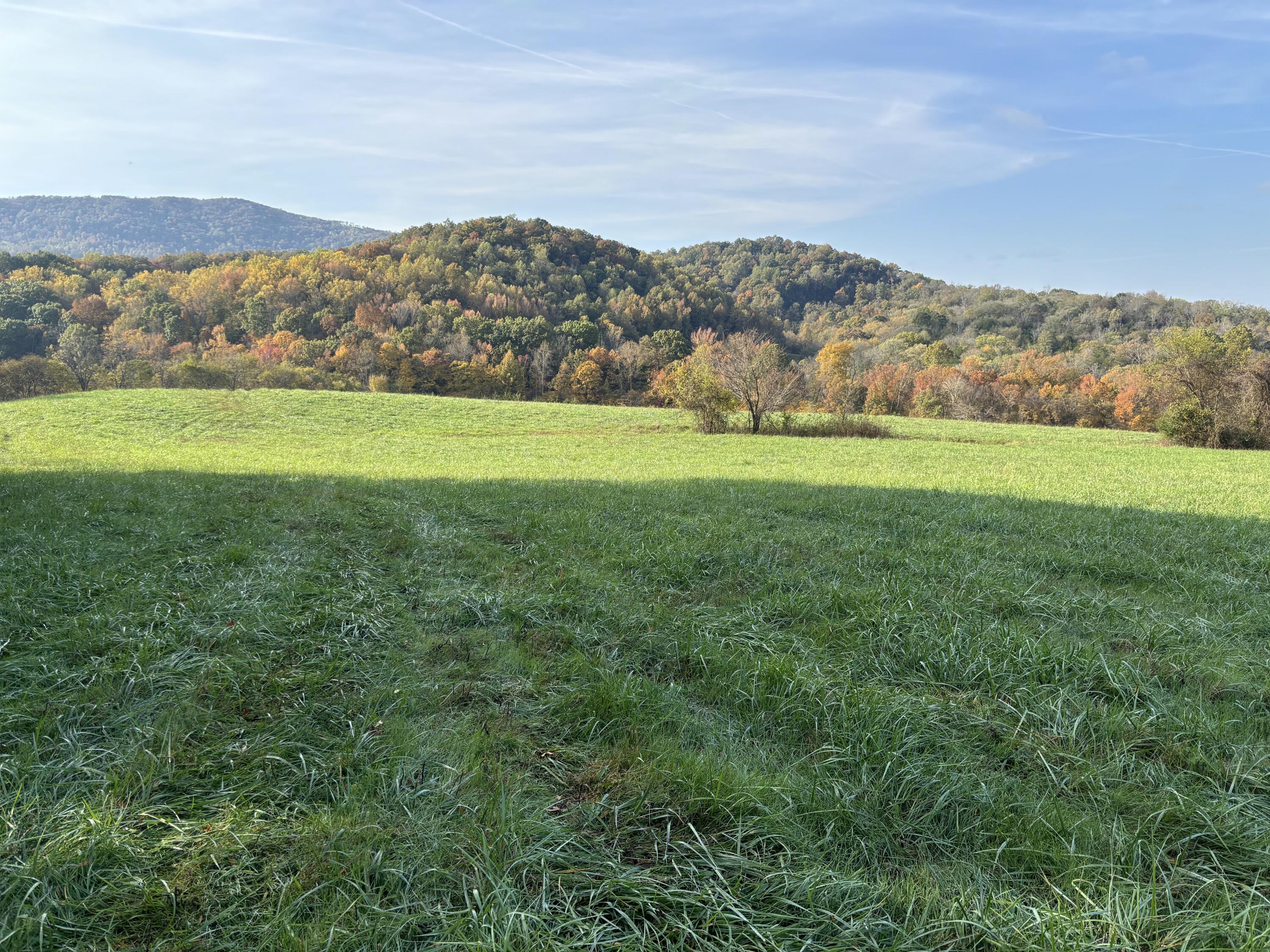 7778 Upper East Valley Road, Pikeville, Tennessee image 33