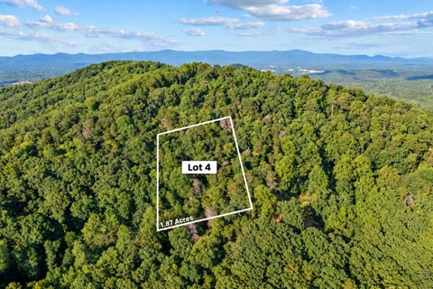 Photo of Lot 4 Firetower Road, Jasper, GA 30143 (MLS # 1544669)