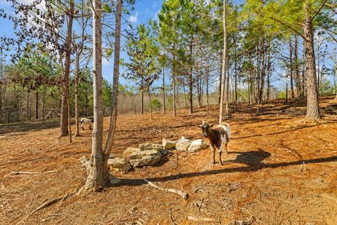 Tiny photo for 2219-A Sugar Creek Road, Crandall, GA 30711 (MLS # 1526781)