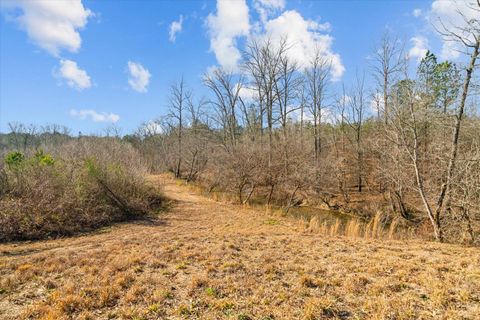 Tiny photo for 2219-A Sugar Creek Road, Crandall, GA 30711 (MLS # 1526781)