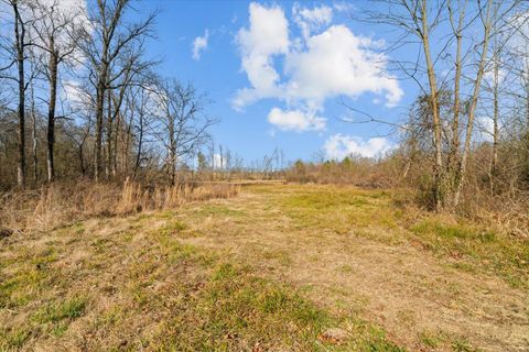 Tiny photo for 2219-A Sugar Creek Road, Crandall, GA 30711 (MLS # 1526781)