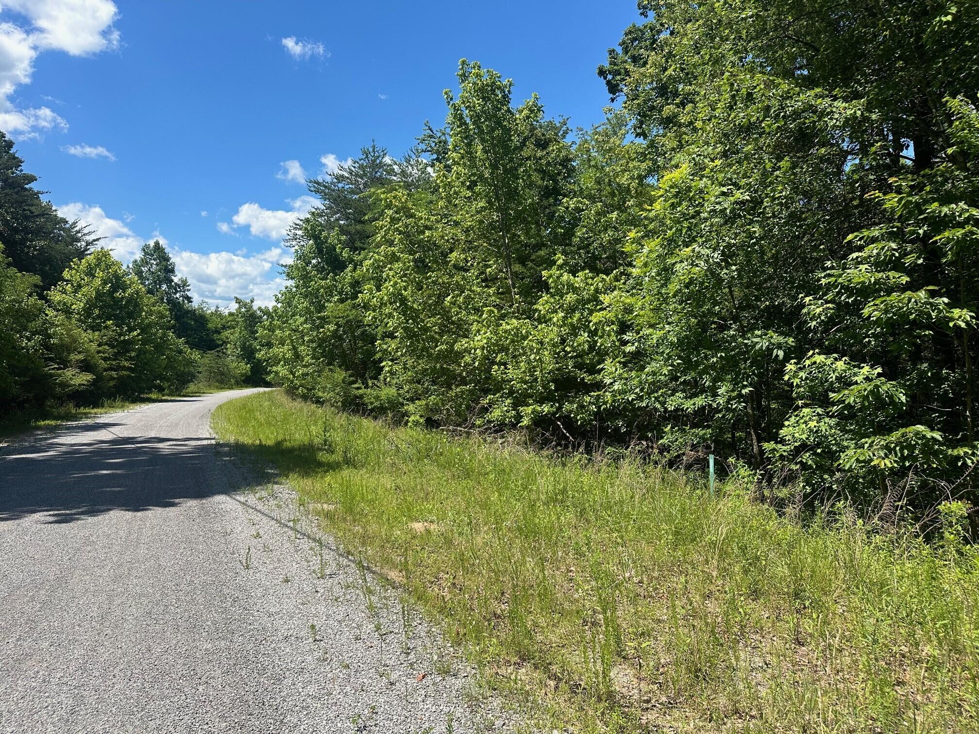 Lot 176 Teludachee Trail #176, South Pittsburg, Tennessee image 4