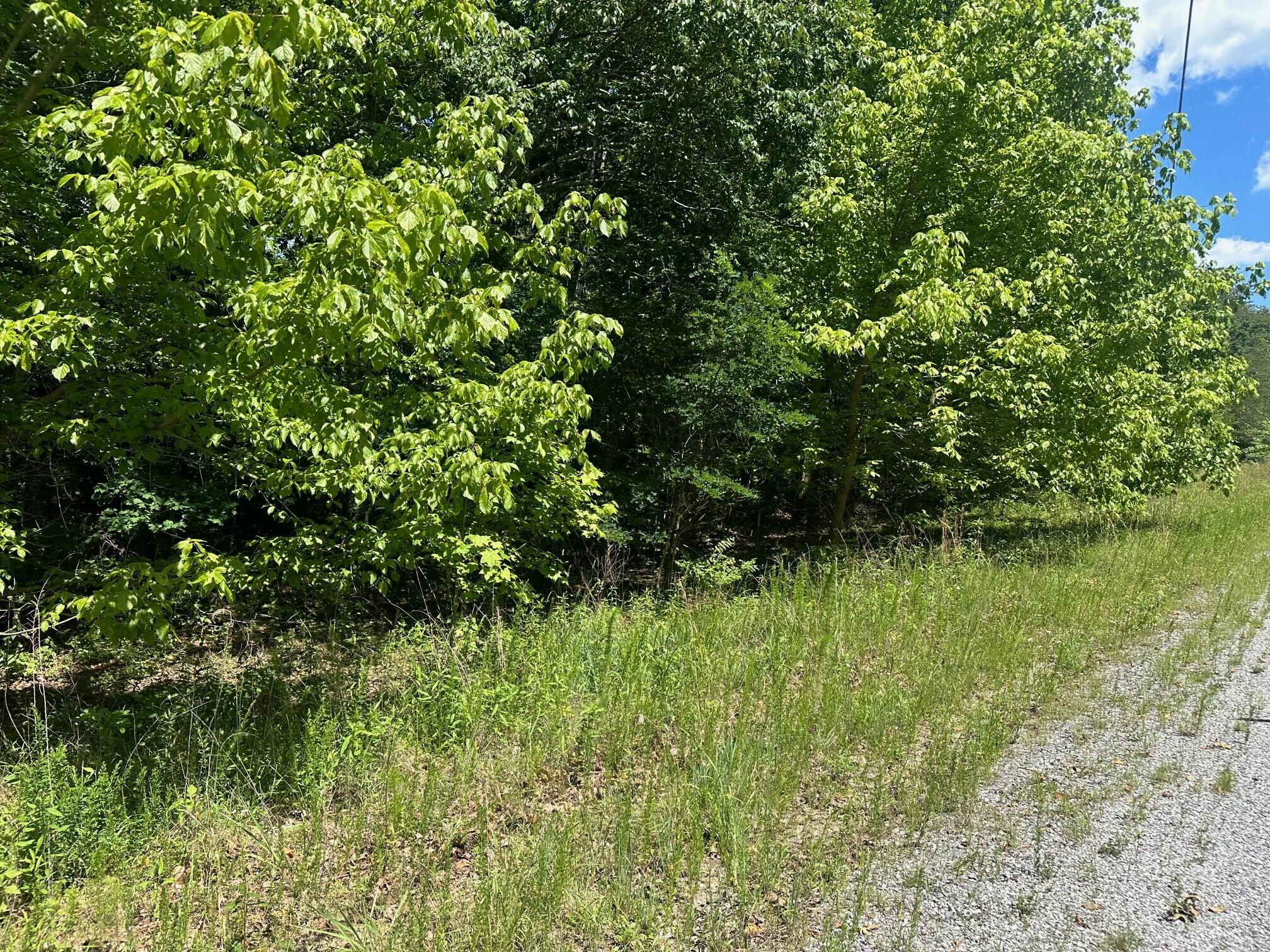 Lot 176 Teludachee Trail #176, South Pittsburg, Tennessee image 2