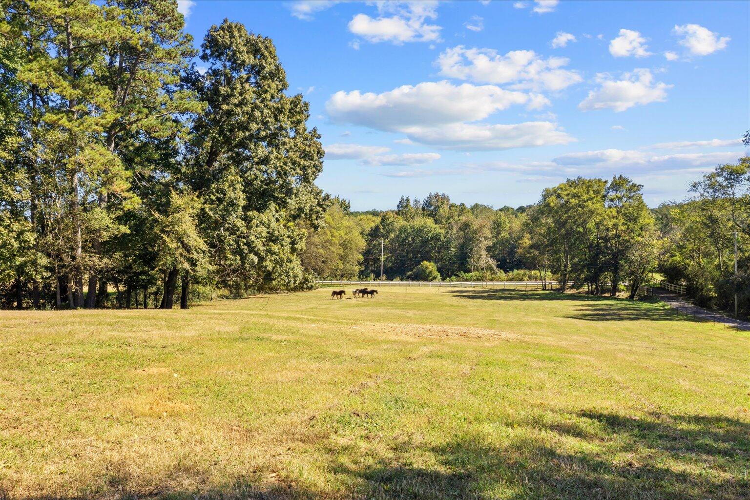 4054 Bandy Road, Ringgold, Georgia image 17