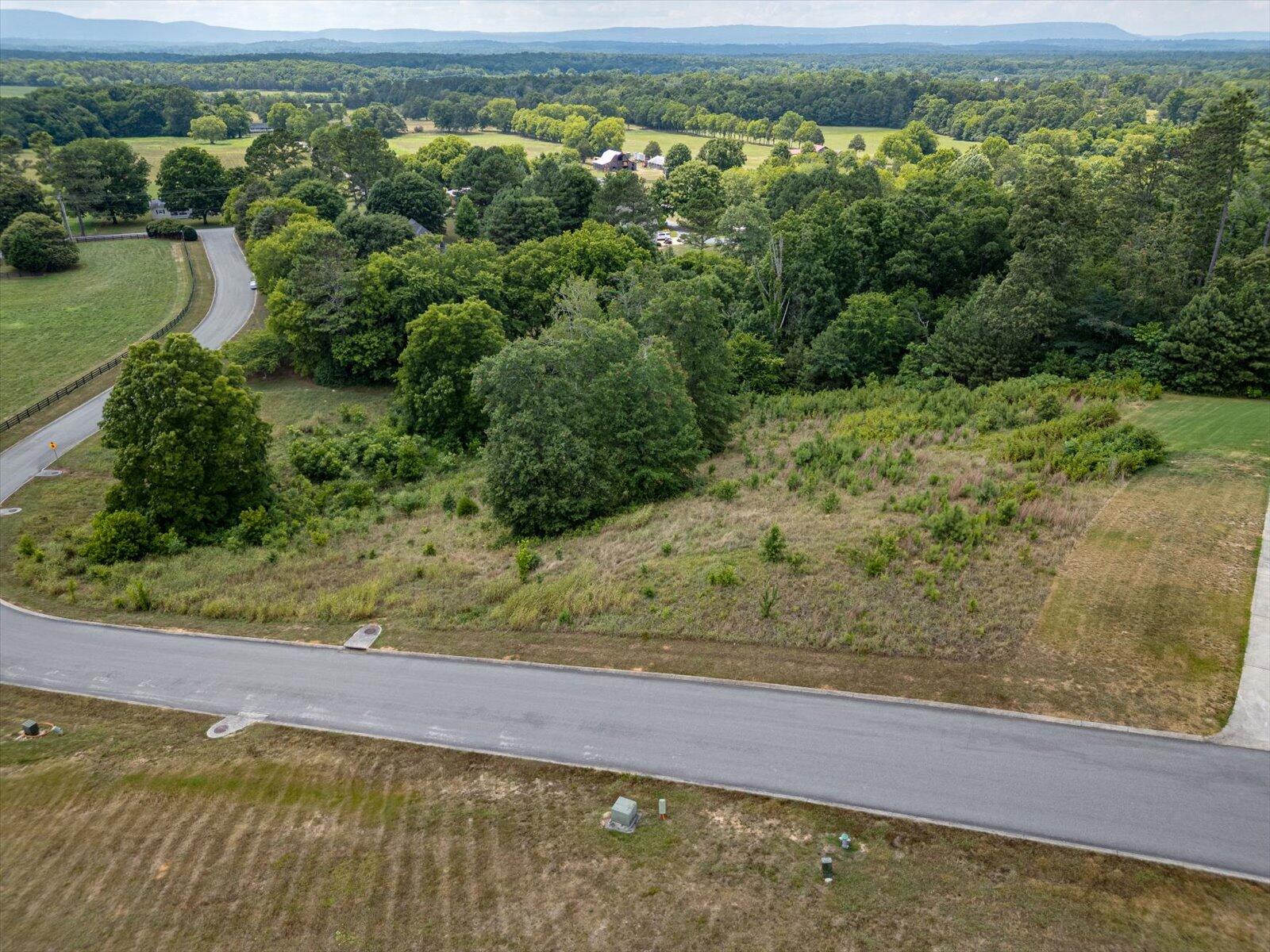 Overlook Drive, Ringgold, Georgia image 7