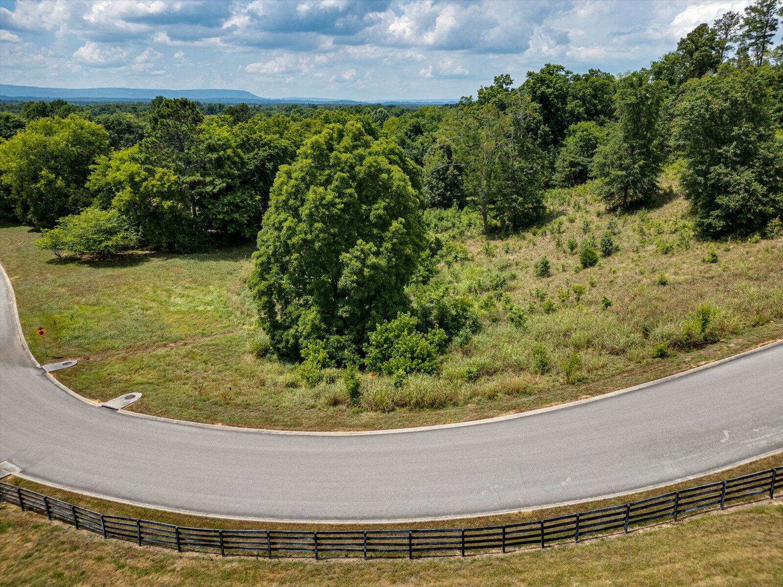 Overlook Drive, Ringgold, Georgia image 5