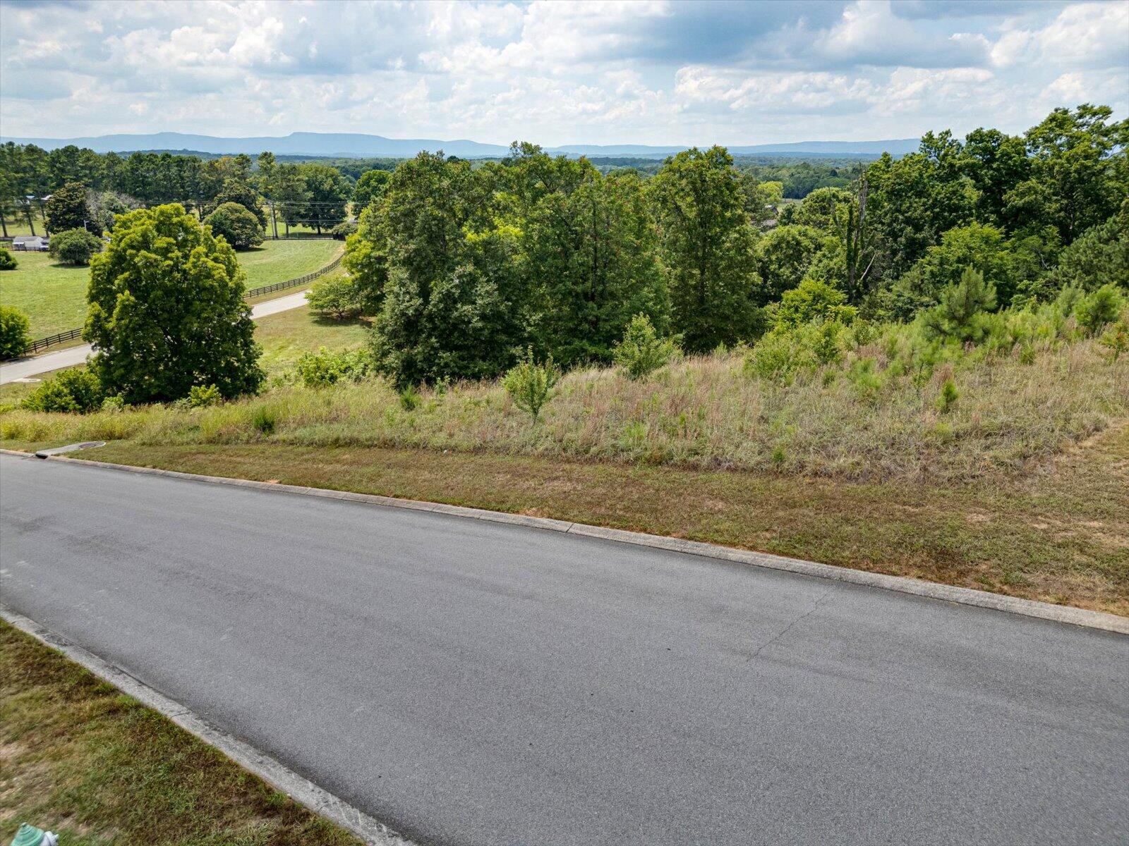 Overlook Drive, Ringgold, Georgia image 6