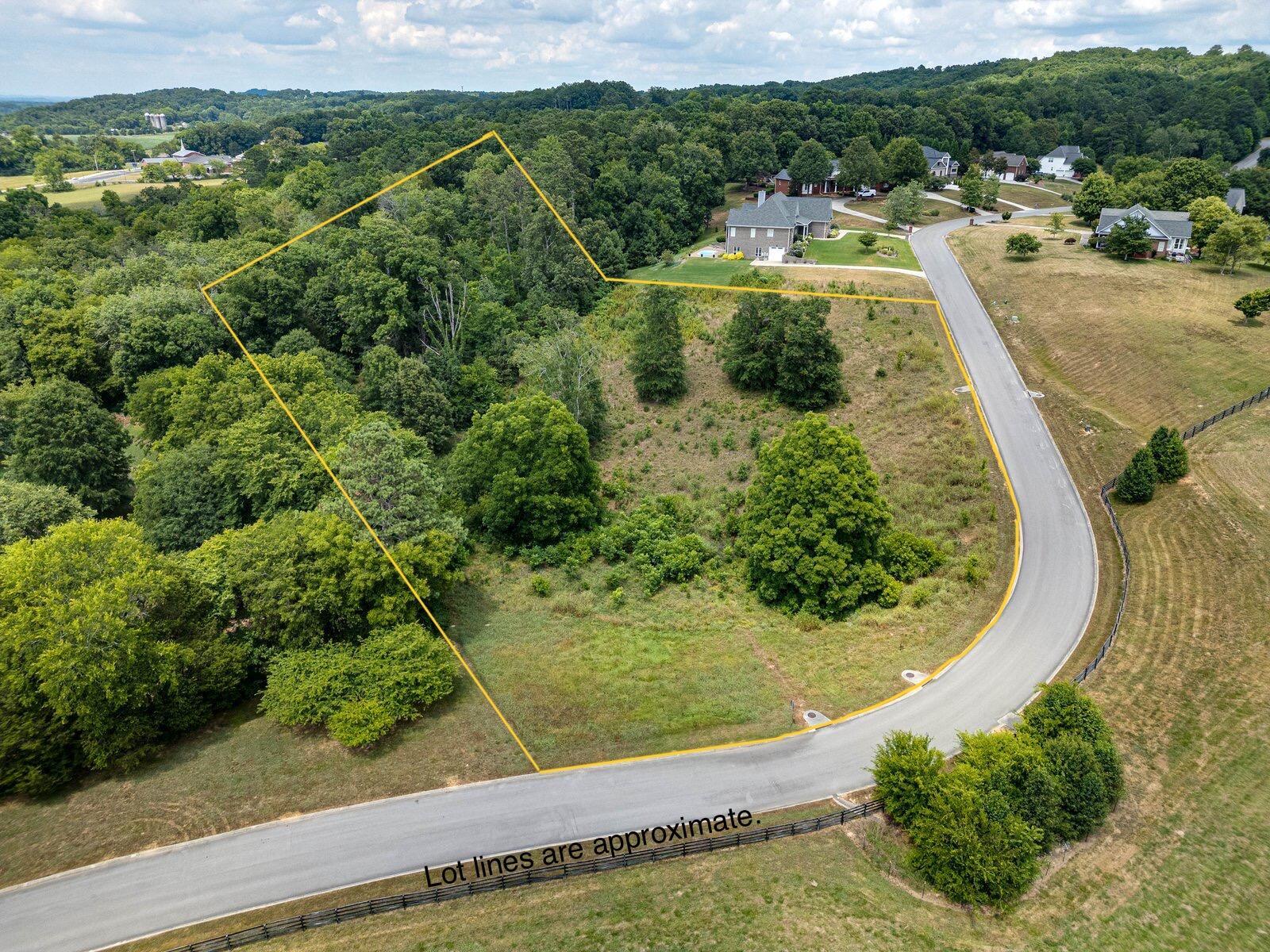 Overlook Drive, Ringgold, Georgia image 2