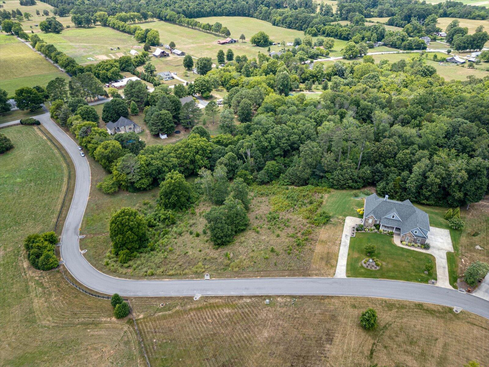 Overlook Drive, Ringgold, Georgia image 12