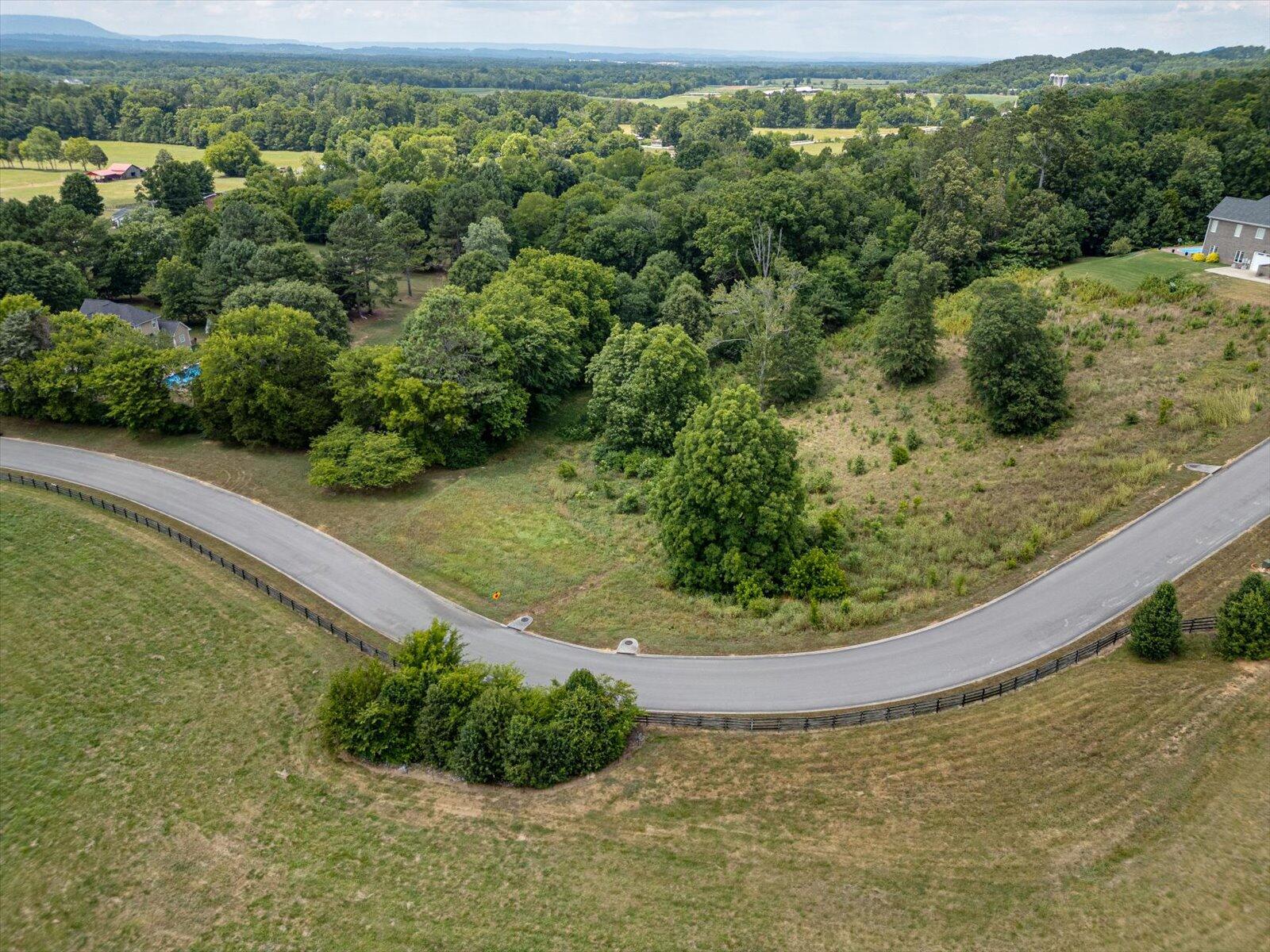 Overlook Drive, Ringgold, Georgia image 8