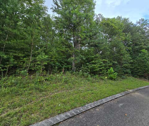 Vacant Land For Sale - LOT 157 Lower Brow Road<br/> Bledsoe County, Dunlap, TN 37327