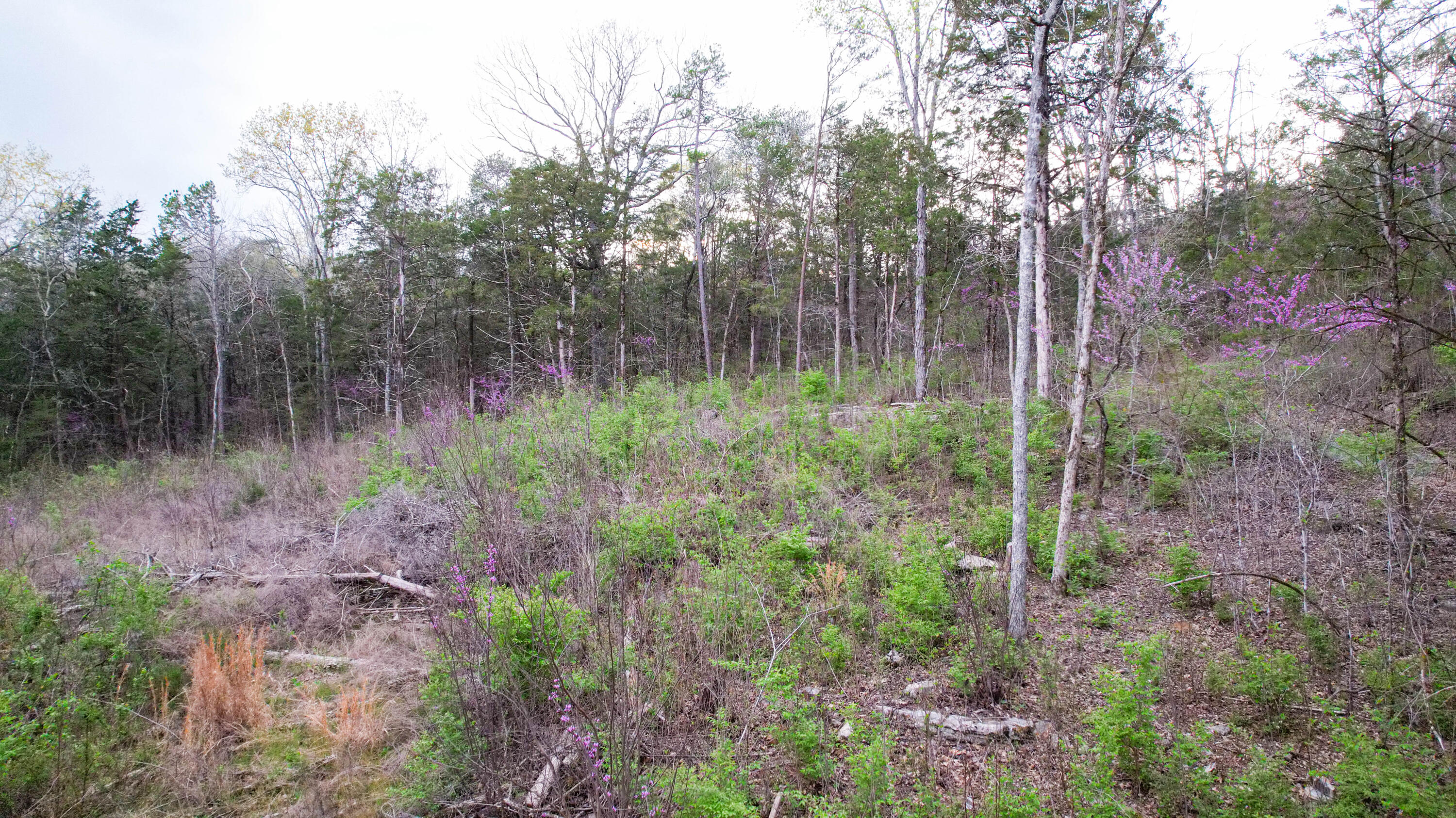 5.13 Acres Mckaig Road, Trenton, Georgia image 11