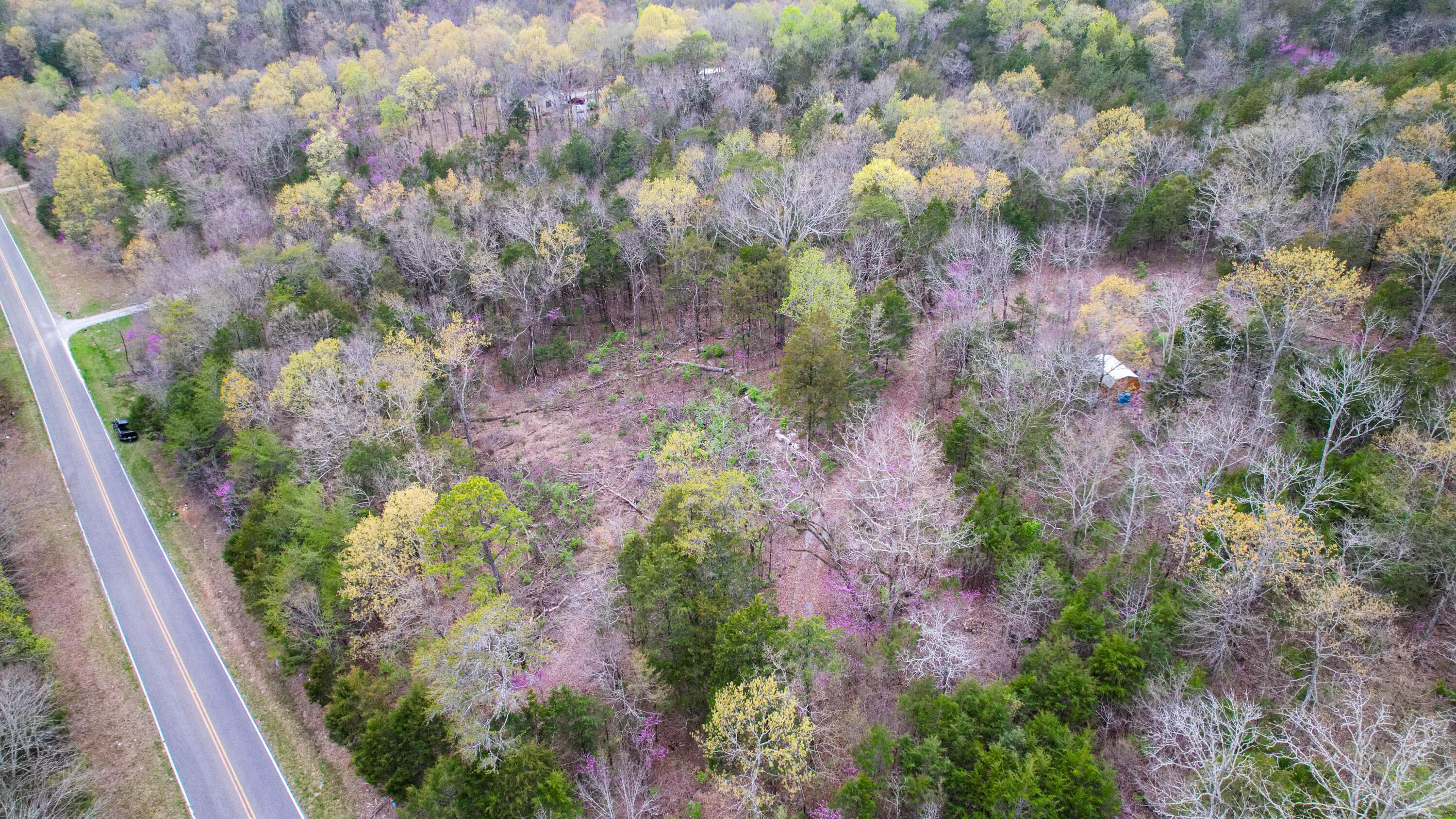 5.13 Acres Mckaig Road, Trenton, Georgia image 1